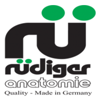 https://www.jayakelana.id.202-10-43-6.cpanel.site/uploads/partner/rudiger-6566210fb15c772.png