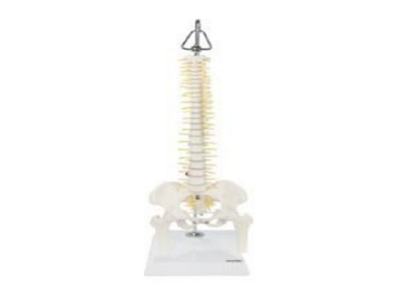 https://www.jayakelana.id.202-10-43-6.cpanel.site/uploads/product/-a-105162-axis-scientific-miniature-703296a087a77e4_cover.png