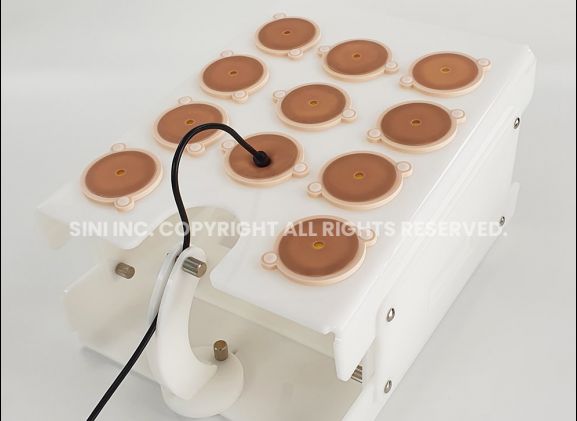 https://www.jayakelana.id.202-10-43-6.cpanel.site/uploads/product/-a-lpp-02-laparoscopic-portable-trainer-12269c33e80d6ea_cover.jpg