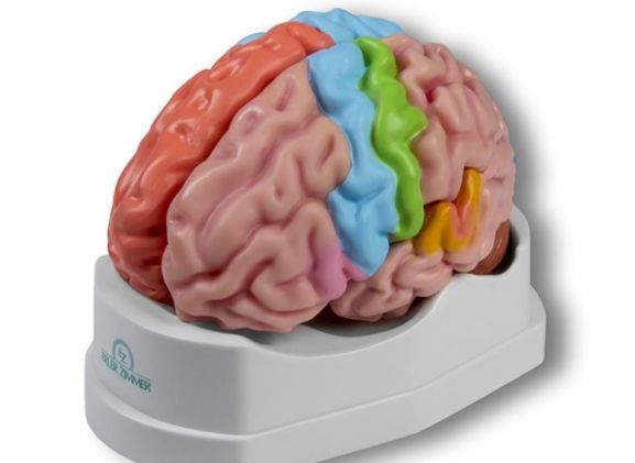 https://www.jayakelana.id.202-10-43-6.cpanel.site/uploads/product/-c922-functional-and-regional-826369c034c0b46_cover.jpg
