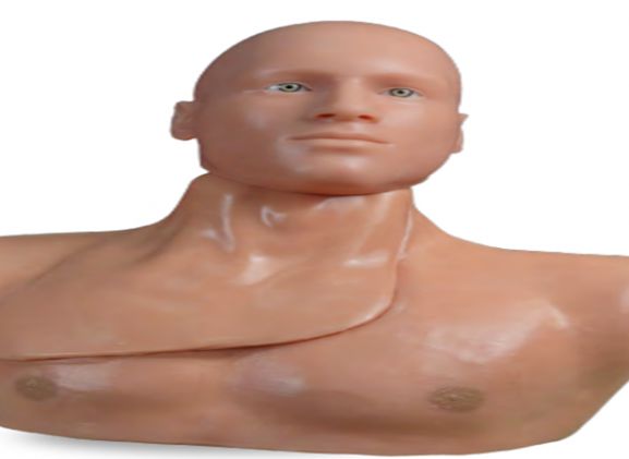 https://www.jayakelana.id.202-10-43-6.cpanel.site/uploads/product/-clm-51-centralineman-system-with-48437cf9e25ace1_cover.png