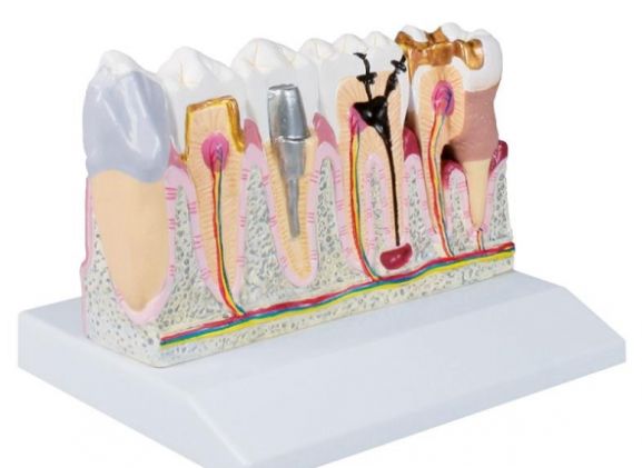https://www.jayakelana.id.202-10-43-6.cpanel.site/uploads/product/-d250-dental-model-4-74088418ba20bdb_cover.jpg