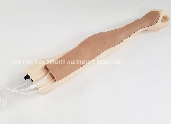 https://www.jayakelana.id.202-10-43-6.cpanel.site/uploads/product/-l-iva-02-intravenous-injection-arm-859335b77d3a6f3_cover.jpg