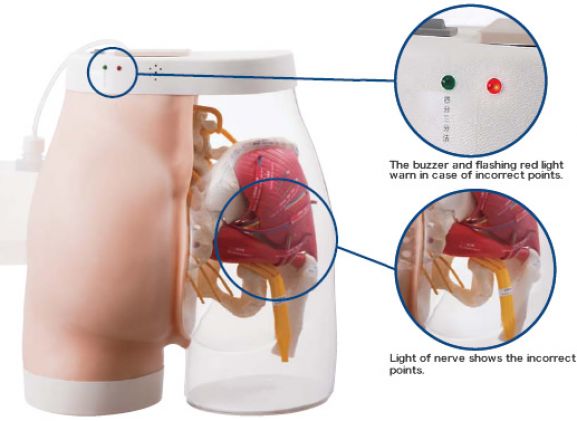 https://www.jayakelana.id.202-10-43-6.cpanel.site/uploads/product/-m152-intramuscular-injection-model-441343cce23994e_cover.jpg