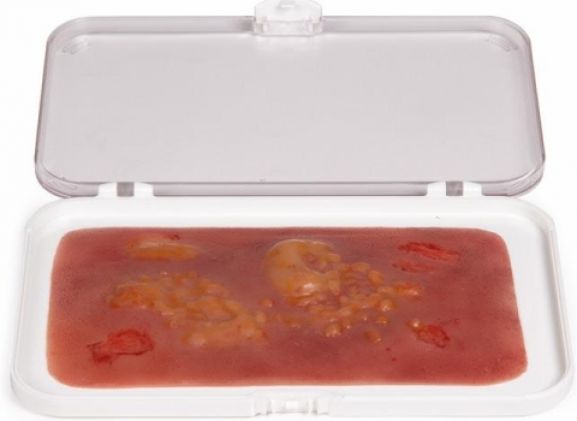 https://www.jayakelana.id.202-10-43-6.cpanel.site/uploads/product/-nw007-wound-moulage-2nd-404375be3fcda5e_cover.jpg