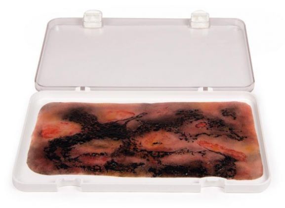 https://www.jayakelana.id.202-10-43-6.cpanel.site/uploads/product/-nw107-wound-moulage-3rd-43228452ee46fd8_cover.jpg