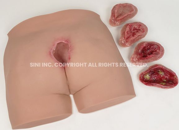 https://www.jayakelana.id.202-10-43-6.cpanel.site/uploads/product/-p-deu-01-decubitus-ulcer-trainer-36706786ebaa4b7_cover.jpg