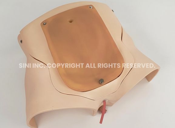 https://www.jayakelana.id.202-10-43-6.cpanel.site/uploads/product/-p-prt-01-prostatectomy-trainer-intuitive-7418767aa0c10b7_cover.jpg