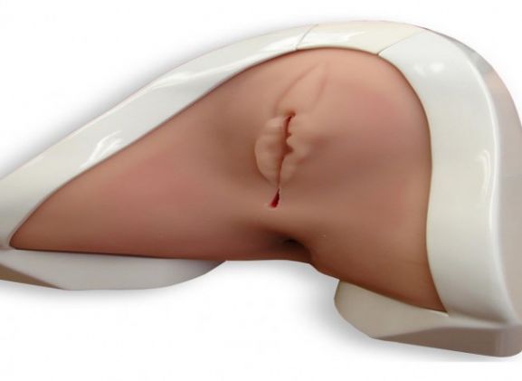 https://www.jayakelana.id.202-10-43-6.cpanel.site/uploads/product/-pelatih-perineal-perineal-prt-20--72871abfb38be35_cover.jpg