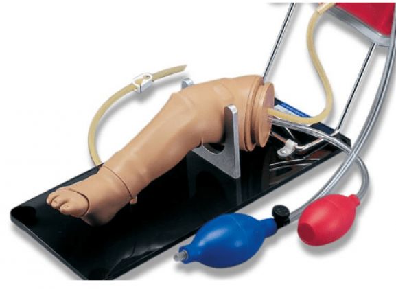 https://www.jayakelana.id.202-10-43-6.cpanel.site/uploads/product/-pelatihan-keterampilan-kaki-infus-12621f8b87598c3_cover.png