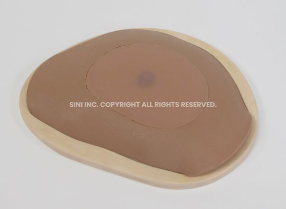 https://www.jayakelana.id.202-10-43-6.cpanel.site/uploads/product/-s-abs-01-abscess-drainage-trainer-363429f4a5f201e_cover.jpg