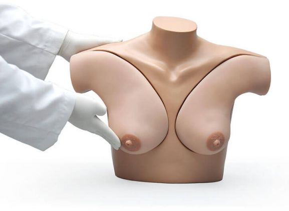 https://www.jayakelana.id.202-10-43-6.cpanel.site/uploads/product/-s230-42-breast-examination-skills-4251411f61f6164_cover.jpg