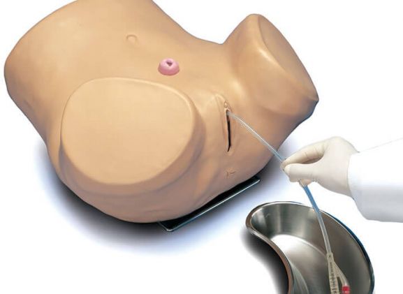 https://www.jayakelana.id.202-10-43-6.cpanel.site/uploads/product/-s230-6-advanced-patient-care-65465bdd45fbfb4_cover.jpg