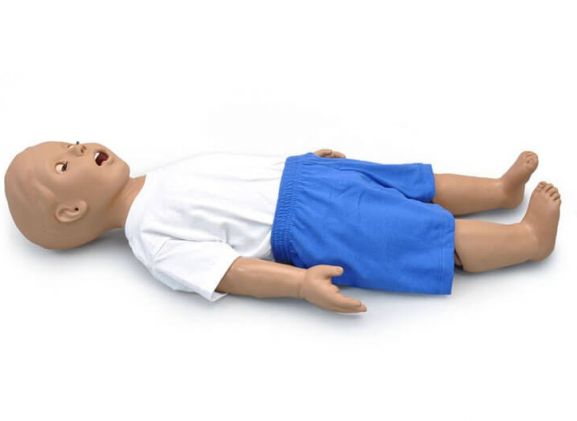 https://www.jayakelana.id.202-10-43-6.cpanel.site/uploads/product/-s312-1-year-pediatric-airway-27755439fc333ca_cover.jpg