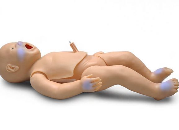 https://www.jayakelana.id.202-10-43-6.cpanel.site/uploads/product/-s320-100-pedi-blue-newborn-748939e7b3777a9_cover.jpg