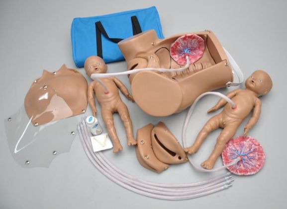 https://www.jayakelana.id.202-10-43-6.cpanel.site/uploads/product/-s500-obstetric-susie-the-627151cfbc01238_cover.jpg