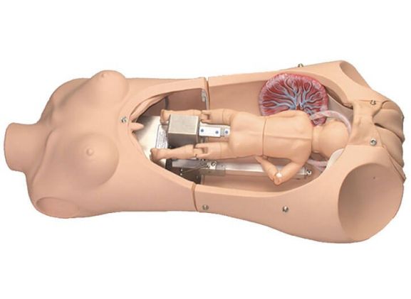 https://www.jayakelana.id.202-10-43-6.cpanel.site/uploads/product/-s552-noelle-automatic-childbirth-25076fa9741d347_cover.jpg
