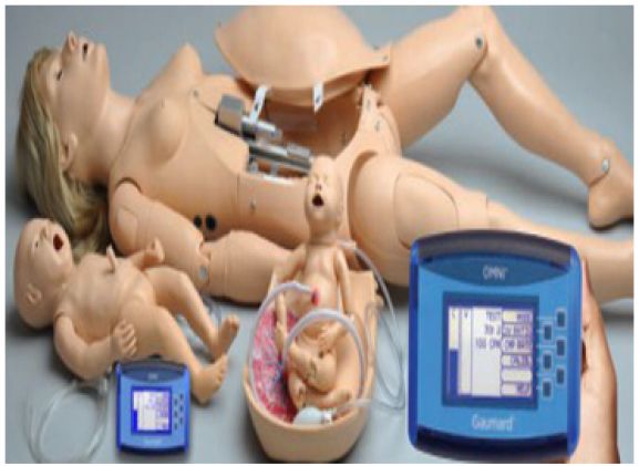 https://www.jayakelana.id.202-10-43-6.cpanel.site/uploads/product/-simulator-kelahiran-noelle-maternal-49754a90e4953eb_cover.png