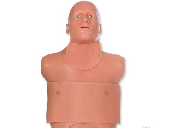 https://www.jayakelana.id.202-10-43-6.cpanel.site/uploads/product/-tm-5138-traumaman-surgical-simulator-76451fed8e861c1_cover.jpg