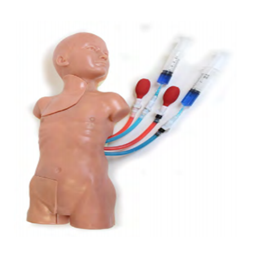 (VACF-30) VASCULAR ACCESS CHILD FEMORAL REPLACEMENT TISSUE 