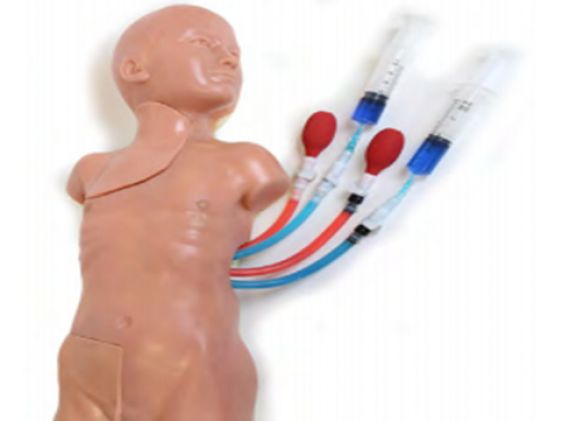 https://www.jayakelana.id.202-10-43-6.cpanel.site/uploads/product/-vacf-30-vascular-accessc-hild-71002979a20a7c9_cover.png
