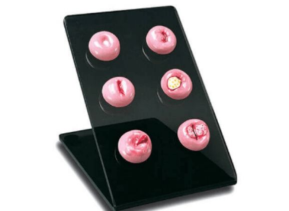 https://www.jayakelana.id.202-10-43-6.cpanel.site/uploads/product/cervical-replicas-s505--906936d80a06779_cover.png