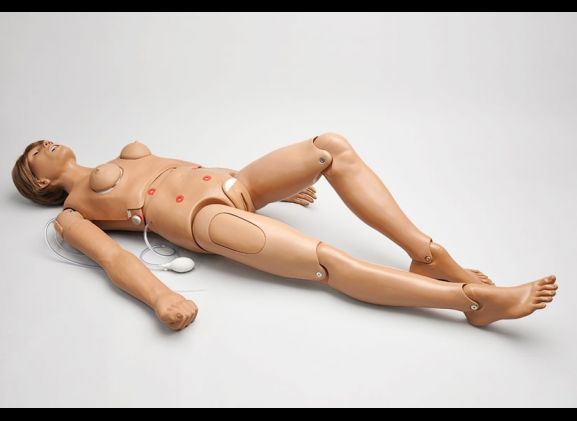 https://www.jayakelana.id.202-10-43-6.cpanel.site/uploads/product/clinical-chloe-nursing-51468b5d33588a0_cover.jpg