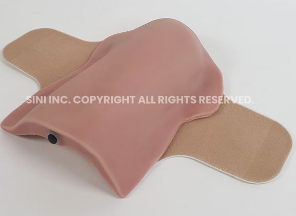 https://www.jayakelana.id.202-10-43-6.cpanel.site/uploads/product/deltoid-intramuscular-injection-trainer-3618154088c3781_cover.jpg