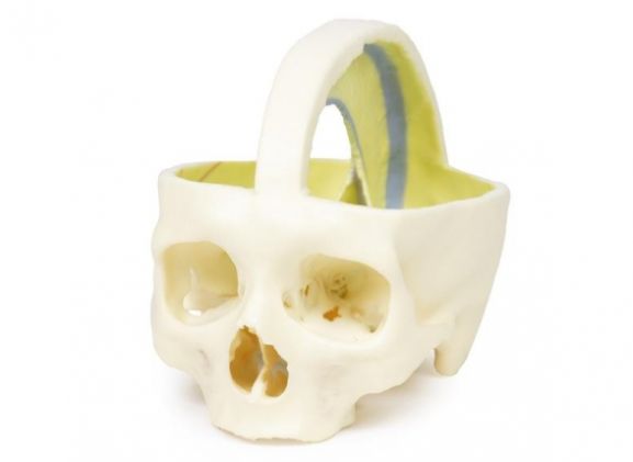 https://www.jayakelana.id.202-10-43-6.cpanel.site/uploads/product/dural-skull-970661cea50abff_cover.jpg