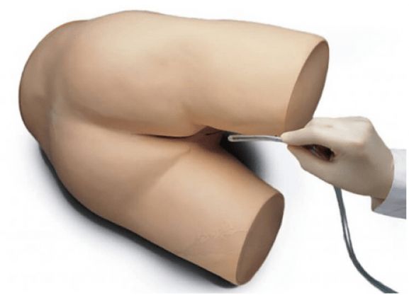 https://www.jayakelana.id.202-10-43-6.cpanel.site/uploads/product/enema-perawatan-pasien-lanjutan-2072423e160ce98_cover.png