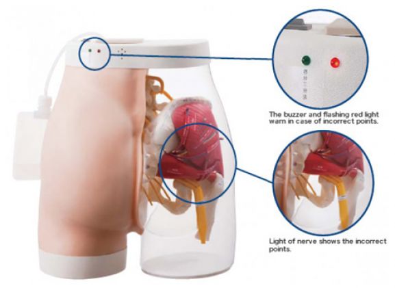 https://www.jayakelana.id.202-10-43-6.cpanel.site/uploads/product/intramuscular-injection-model-of-17666f9d6a25123_cover.png