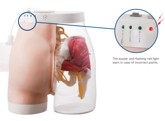 https://www.jayakelana.id.202-10-43-6.cpanel.site/uploads/product/intramuscular-injection-model-of-5833681713cf65b_cover.png