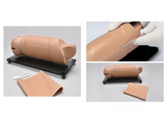 https://www.jayakelana.id.202-10-43-6.cpanel.site/uploads/product/lengan-pelatihan-implan-reproduksi-66445a54815d81b_cover.png
