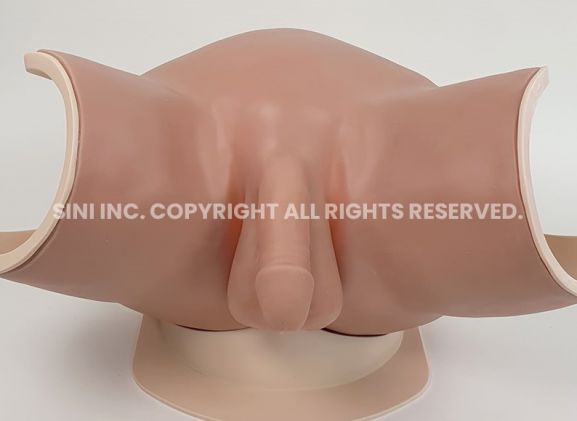 https://www.jayakelana.id.202-10-43-6.cpanel.site/uploads/product/male-catheterization-trainer-a-353272851403198_cover.jpg