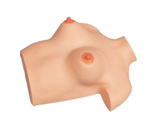 https://www.jayakelana.id.202-10-43-6.cpanel.site/uploads/product/model-pijat-payudara-simulator-9749442cf66a1db_cover.png