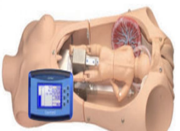 https://www.jayakelana.id.202-10-43-6.cpanel.site/uploads/product/noelle-birthing-torso-dengan-83138c1b4c9c1d7_cover.png