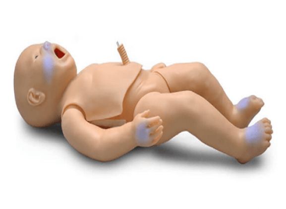 https://www.jayakelana.id.202-10-43-6.cpanel.site/uploads/product/pedi-blue-newborn--46526182da88257_cover.png