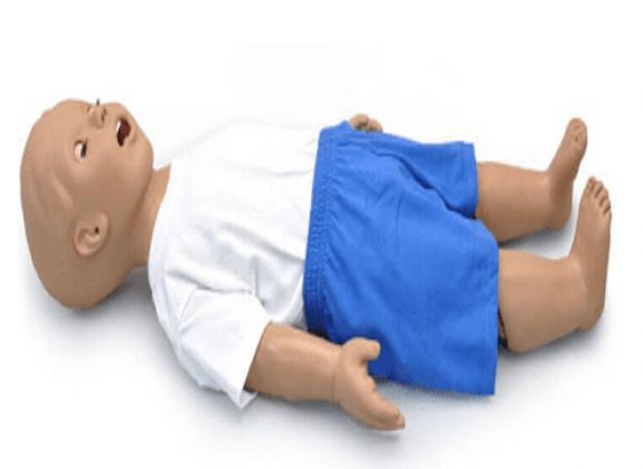 https://www.jayakelana.id.202-10-43-6.cpanel.site/uploads/product/pelatih-airway-pediatrik-1-1721230773337f4_cover.png