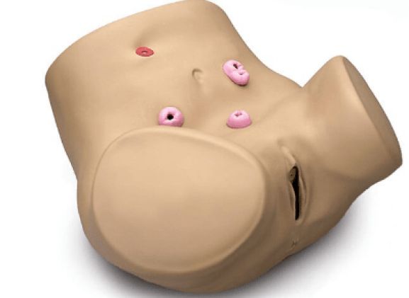 https://www.jayakelana.id.202-10-43-6.cpanel.site/uploads/product/pelatih-keterampilan-ostomi-perawatan-275226f46bac0bd_cover.png