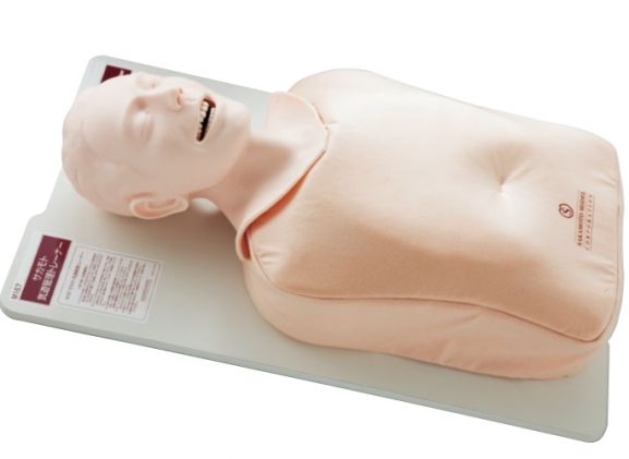 https://www.jayakelana.id.202-10-43-6.cpanel.site/uploads/product/pelatih-manajemen-airway-sakamoto-508858426e59c38_cover.png