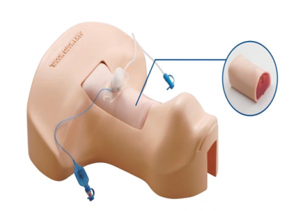 https://www.jayakelana.id.202-10-43-6.cpanel.site/uploads/product/pelatihan-sakamoto-tracheotomy-m172--160076c026dcd28_cover.png