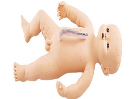 https://www.jayakelana.id.202-10-43-6.cpanel.site/uploads/product/sakamoto-bayi-laki-laki-m107-3--774942f8183cf47_cover.png