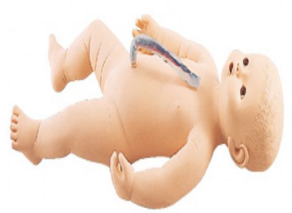 https://www.jayakelana.id.202-10-43-6.cpanel.site/uploads/product/sakamoto-bayi-perempuan-m107-4--832713460d4a259_cover.png