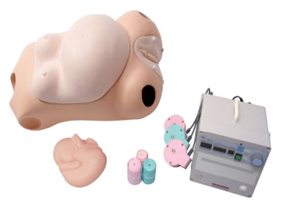 https://www.jayakelana.id.202-10-43-6.cpanel.site/uploads/product/sakamoto-cardiotocograph-simulator-m191--3796317d2ae8673_cover.png