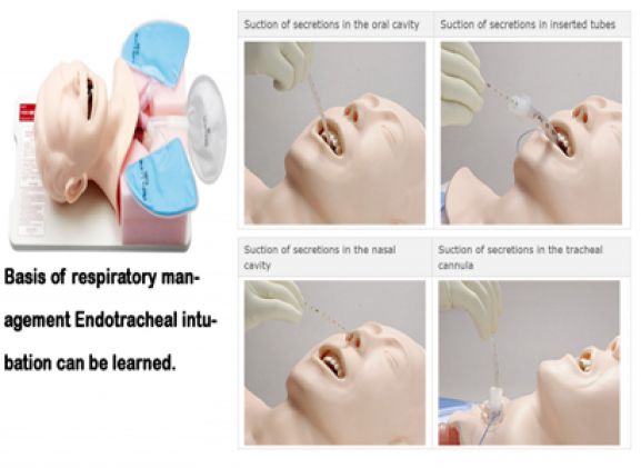 https://www.jayakelana.id.202-10-43-6.cpanel.site/uploads/product/simulator-penghisap-sakamoto-m175--55471a09ea94b23_cover.png