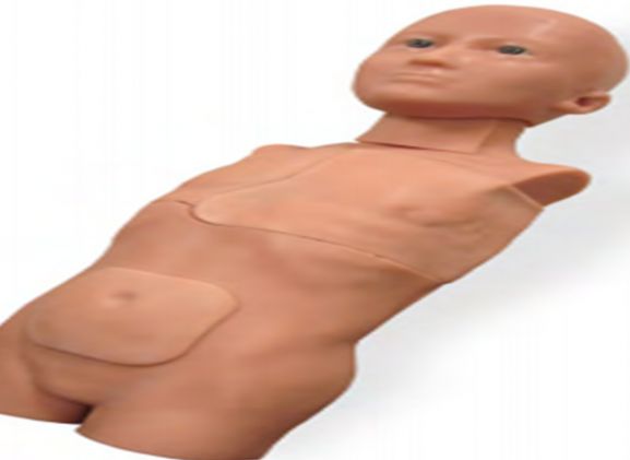 https://www.jayakelana.id.202-10-43-6.cpanel.site/uploads/product/sistem-traumachild-tc-2180--3889060baeac657_cover.png