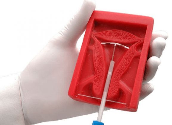 https://www.jayakelana.id.202-10-43-6.cpanel.site/uploads/product/uterus-ii-iud-placement-13744b31b02c2be_cover.png