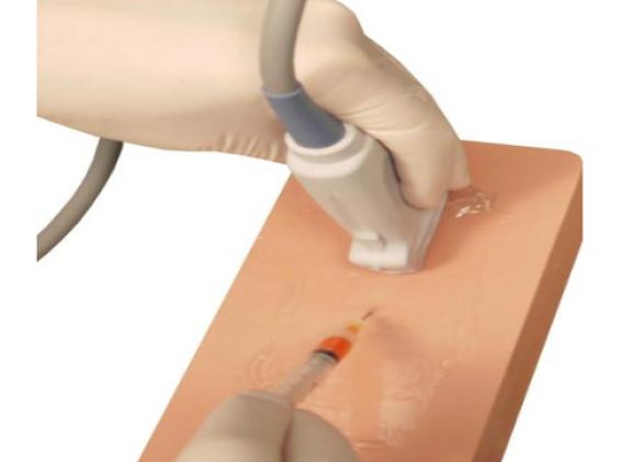 https://www.jayakelana.id.202-10-43-6.cpanel.site/uploads/product/venipuncture-pad-dengan-saraf-643524dc40e3ff1_cover.png